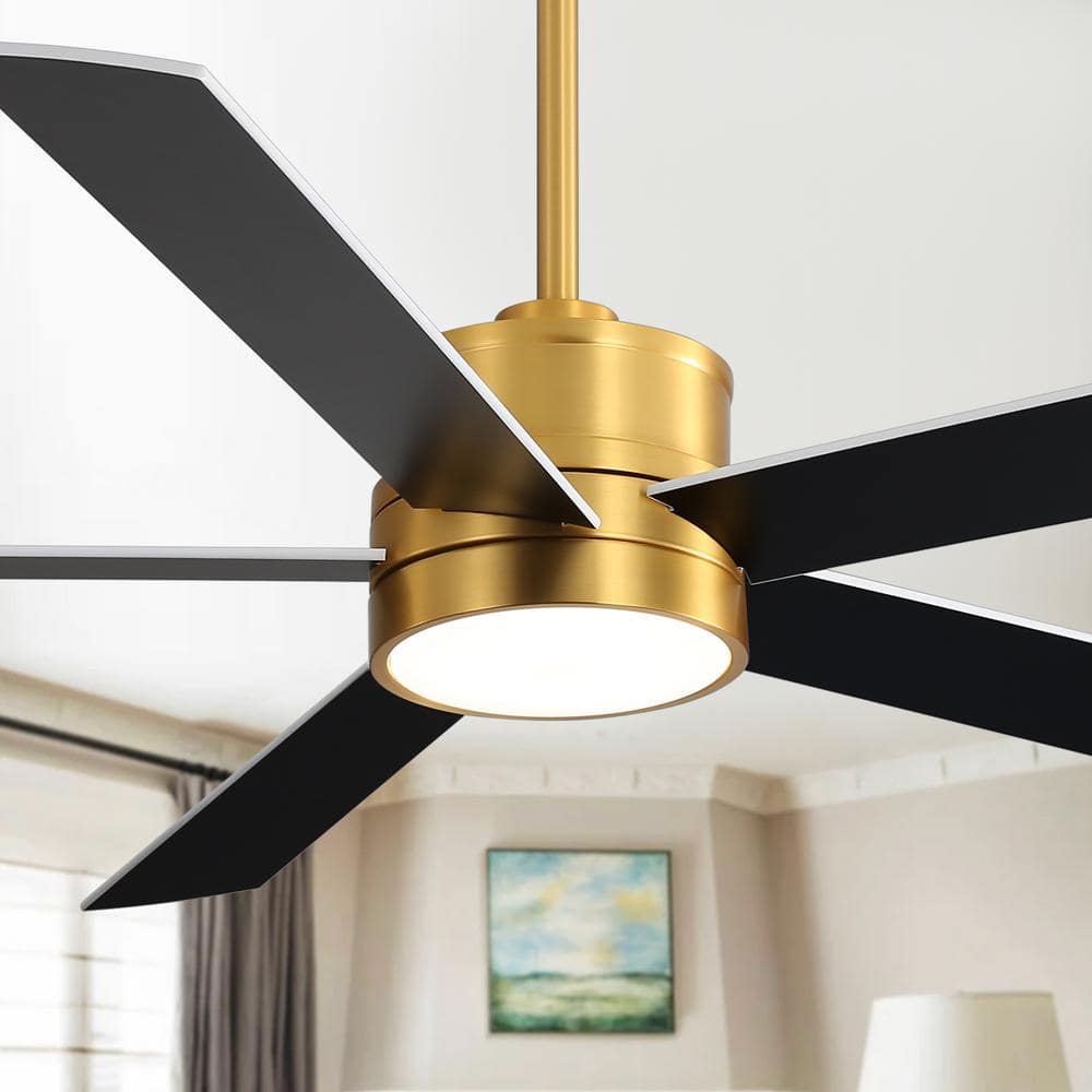 Sky Hog Molino 65 in. Indoor Integrated LED Gold Ceiling Fan with ...