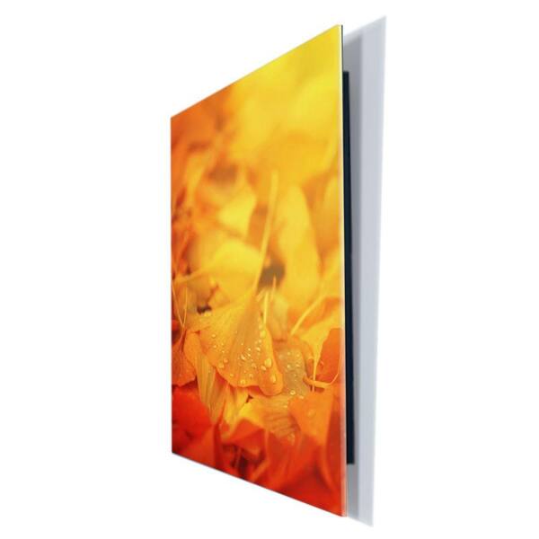 Trademark Fine Art 18 in. x 24 in. "Thinking Bubble by Philippe Sainte-Laudy" Printed Acrylix Wall Art