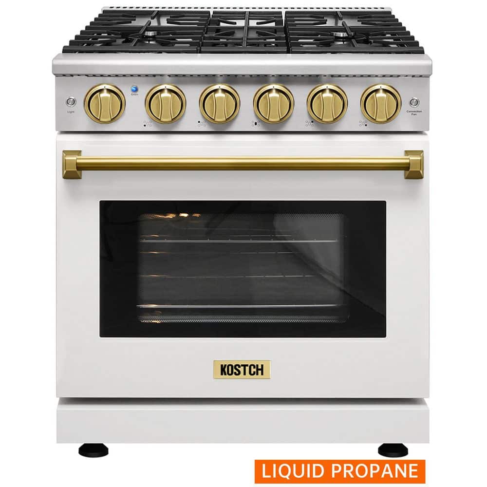 30 in. 5 Burners Freestanding Propane Gas Range with 4.55 cu. ft. Convection Oven in White with Bronze Handle price history on PriceWatchPro
