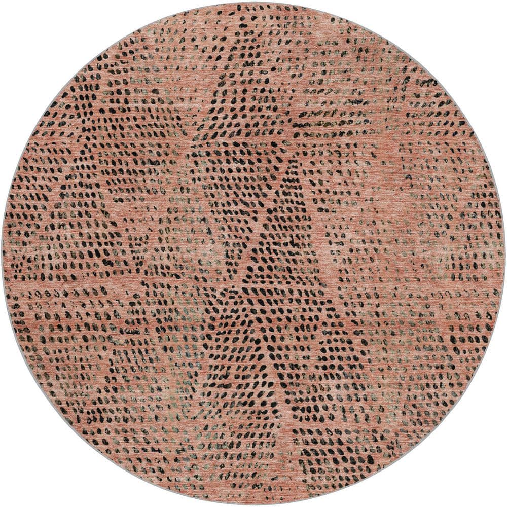 Dream Shag Premium Machine Washable Abstract ADS591 Salmon 8 ft. x 8 ft. Round Rug price history on PriceWatchPro
