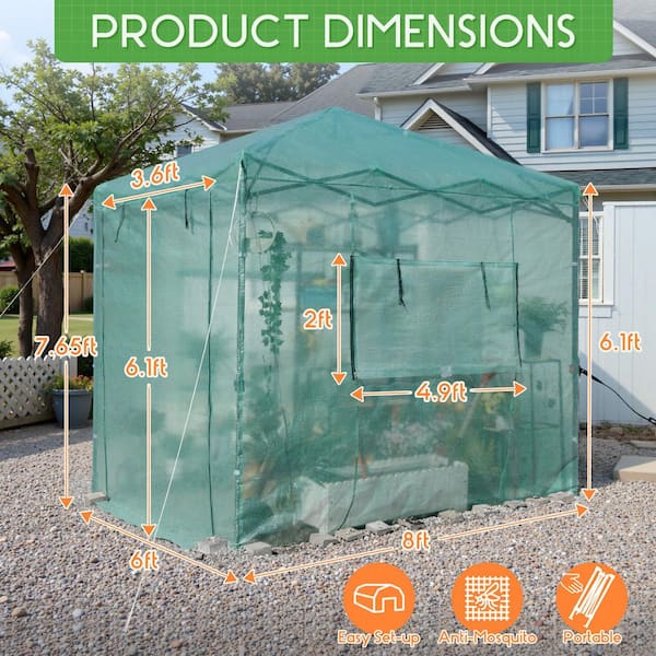 Tozey 8 ft. W x 6 ft. D Collapsible Metal Walk-In Greenhouse