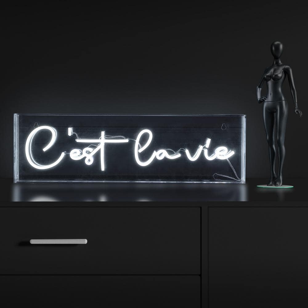 C'est La Vie 20 in. x 6 in. Contemporary Glam Acrylic Box USB Operated LED Neon Night Light, White price history on PriceWatchPro