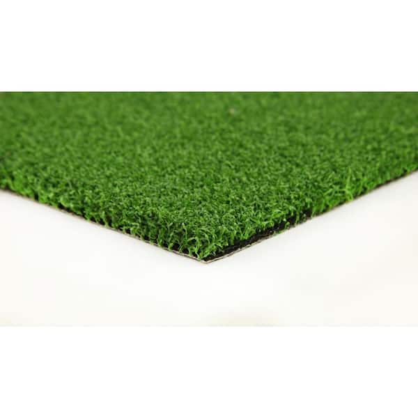TrafficMaster Putting Green 56 8 ft. x 12 ft. Artificial Synthetic Lawn Turf Grass Carpet for Outdoor Landscape