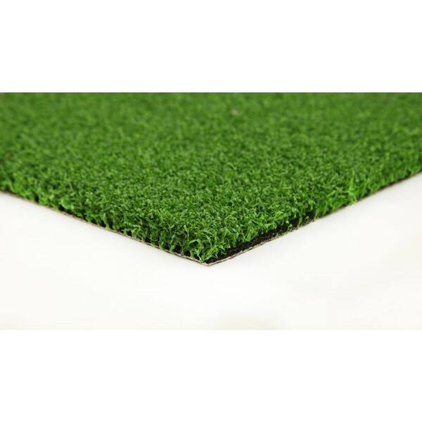 TrafficMaster Putting Green 56 12 ft. x Your Length Artificial Synthetic Lawn Turf Grass Carpet for Outdoor Landscape