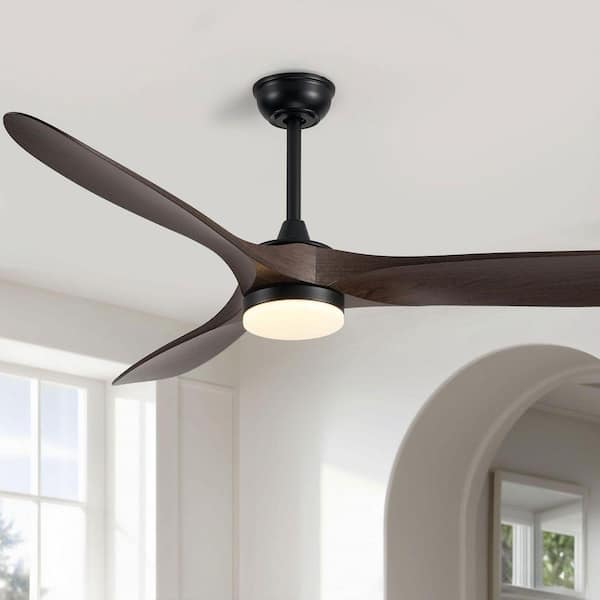 60 in. Indoor/Covered Outdoor Modern Black LED Ceiling Fan with Light and Remote Painted Walnut Blades 3-Color Changing