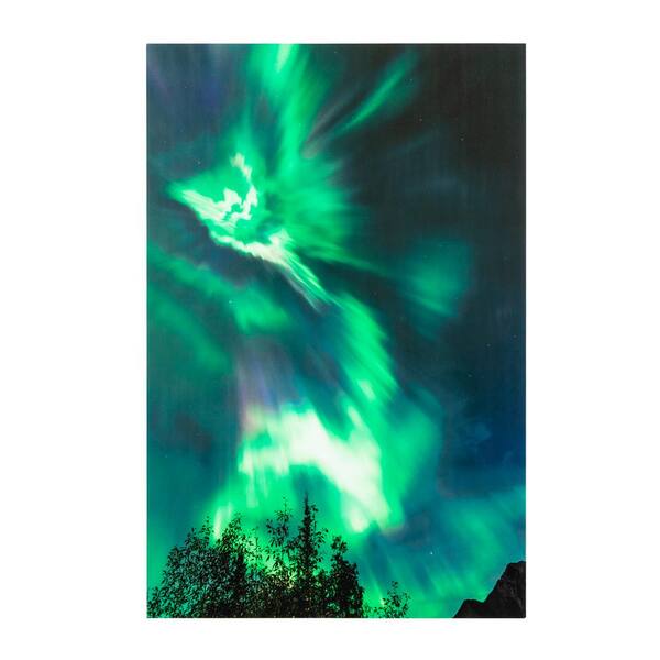 Yosemite Home Decor "Northern Lights" Unframed Color Nature Photography Wall Art 47 in. x 32 in .