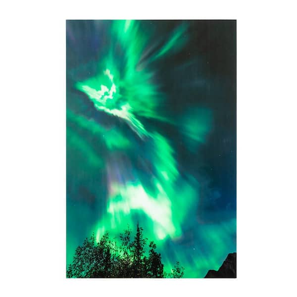 "Northern Lights" Unframed Color Nature Photography Wall Art 47 in. x 32 in .