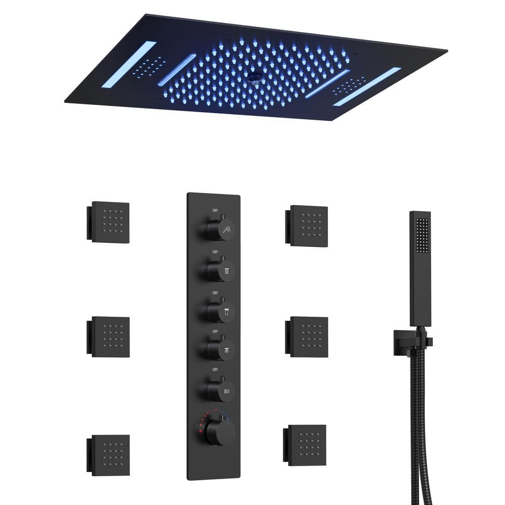 EVERSTEIN 31Spray 23 x 15in. Dual Shower Heads Ceiling Mount Fixed and