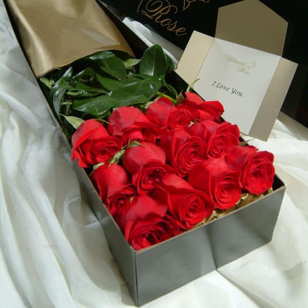 The Ultimate Bouquet Gorgeous 3 ft. Red Roses Fresh Cut Extra Long Stems (12 Stem) Overnight Shipping Included