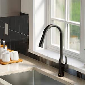 Standerton Single Handle Pull-Down Sprayer Kitchen Faucet in Matte Black