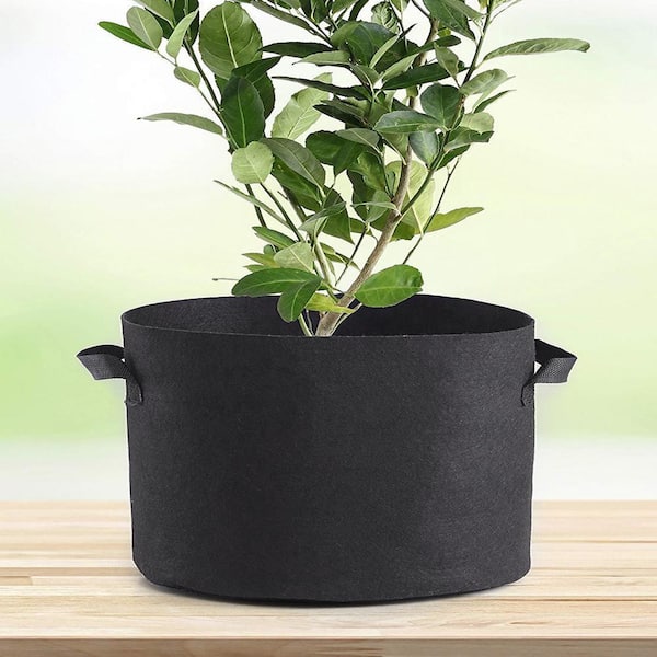 Grow Bag - Plant Grow Bag Latest Price, Manufacturers & Suppliers
