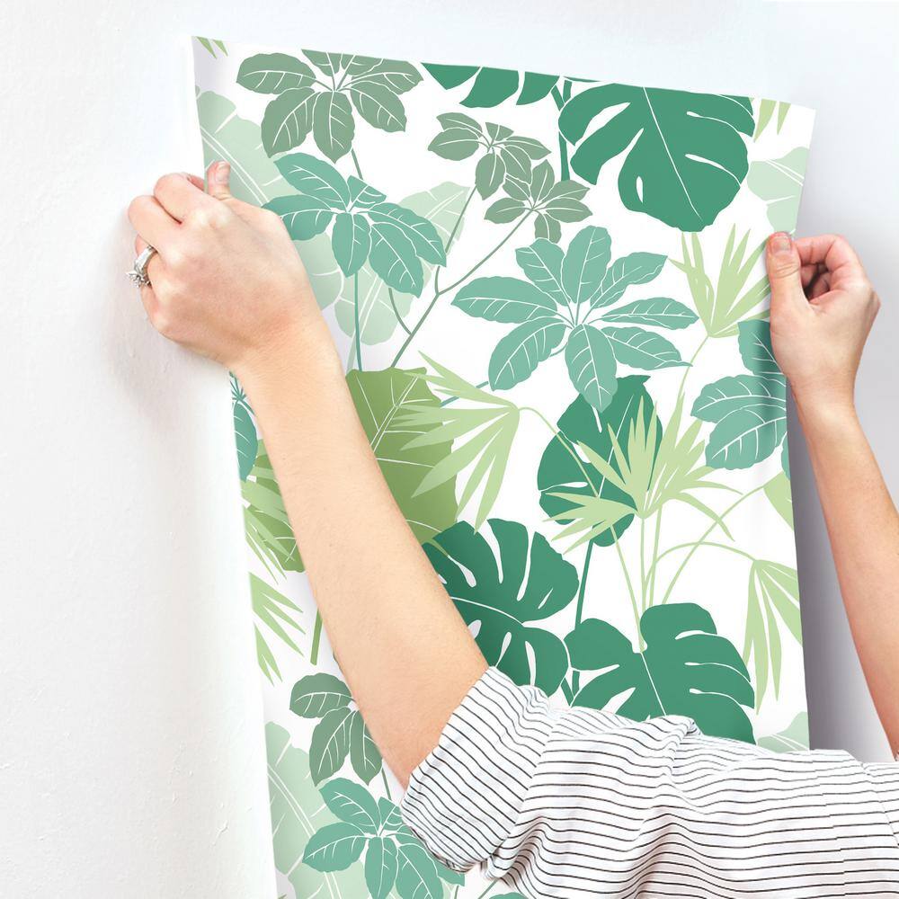 Medellin Green Rainforest Non-Woven Wallpaper Roll