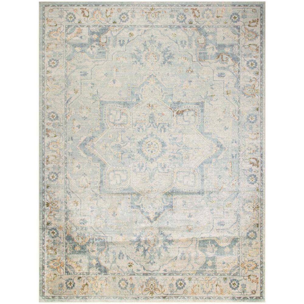 9' X 12' Blue and Ivory Floral Medallion Power Loom Distressed Washable Area Rug price history on PriceWatchPro