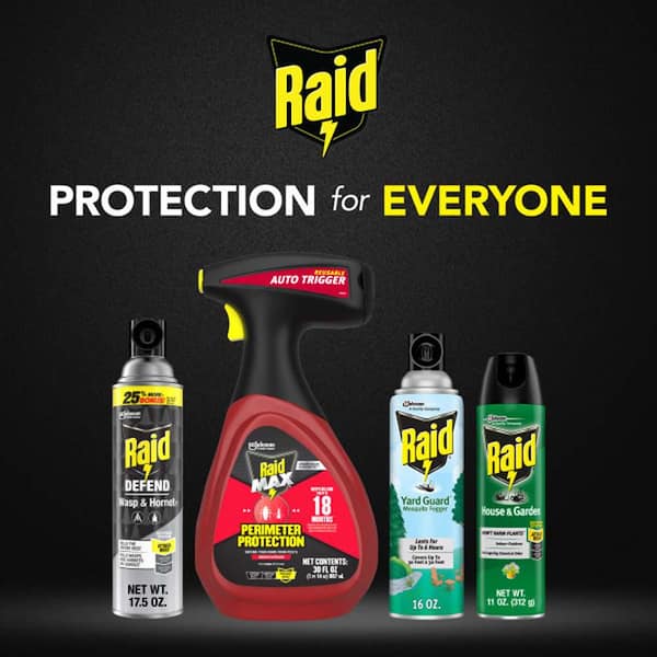 Raid Spray Wasp and Hornet Killer 17.5 oz