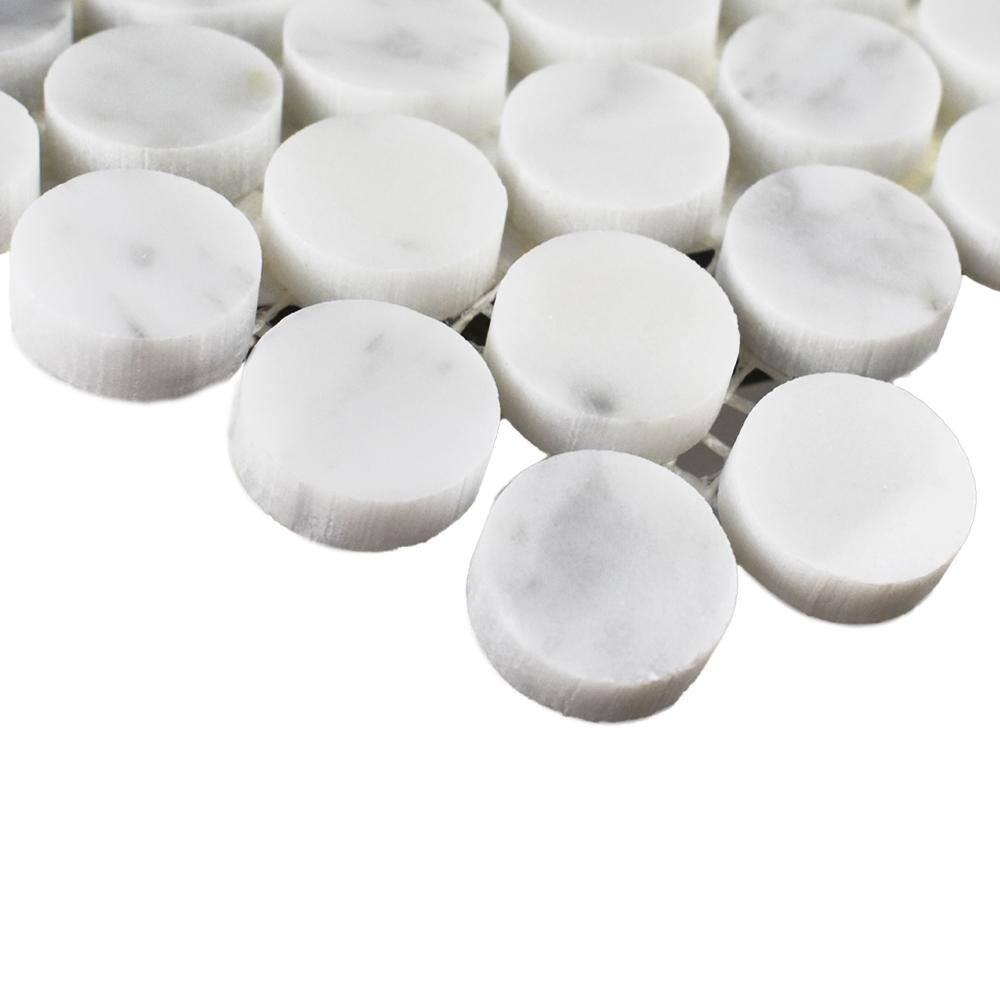 12x12 White Glass and Natural Stone Penny Round Mosaic Tile