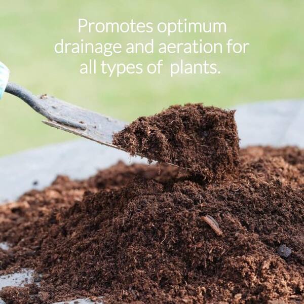 LEAVES AND SOUL Professional Peat Moss, 2.2 qt. All-Natural Soil Additive  for Container and Garden Plants B09WSY58YD - The Home Depot