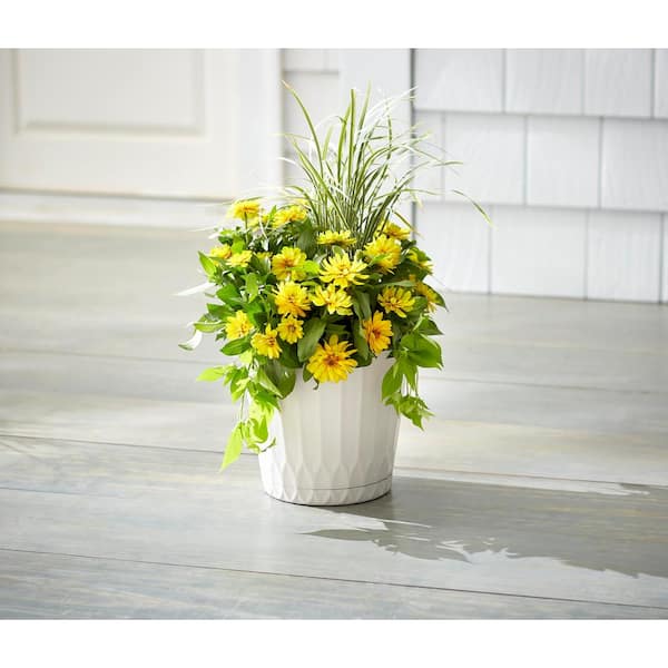 Concord Medium White Plastic Planter with Attached Saucer (10.6 in. L x 10.6 in. W x 9.4 in. H)