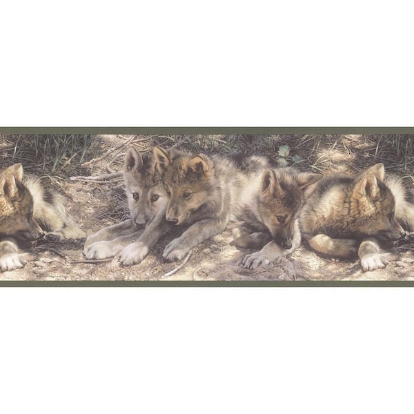 Brewster 9 in. H x 12 in. W Wolf Cubs Border Sample