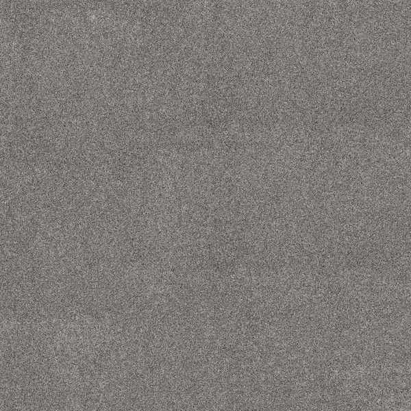 Home Decorators Collection Vacation Fossil Gray 42 oz. SD High Performance Polyester Texture Installed Carpet