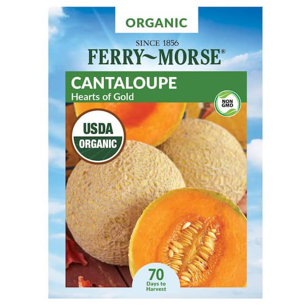 Ferry-Morse Organic Cantaloupe Hearts of Gold Fruit Seed