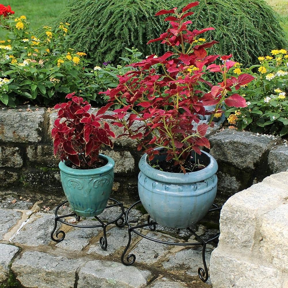 Black Wrought Iron Circular Plant Stand with Scroll Legs