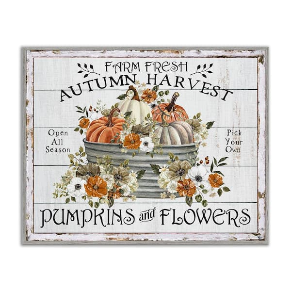 Farm Fresh Harvest Pumpkin by Creatif Belle Gray Framed Graphic Typography Art Print 11 in. x 14 in.