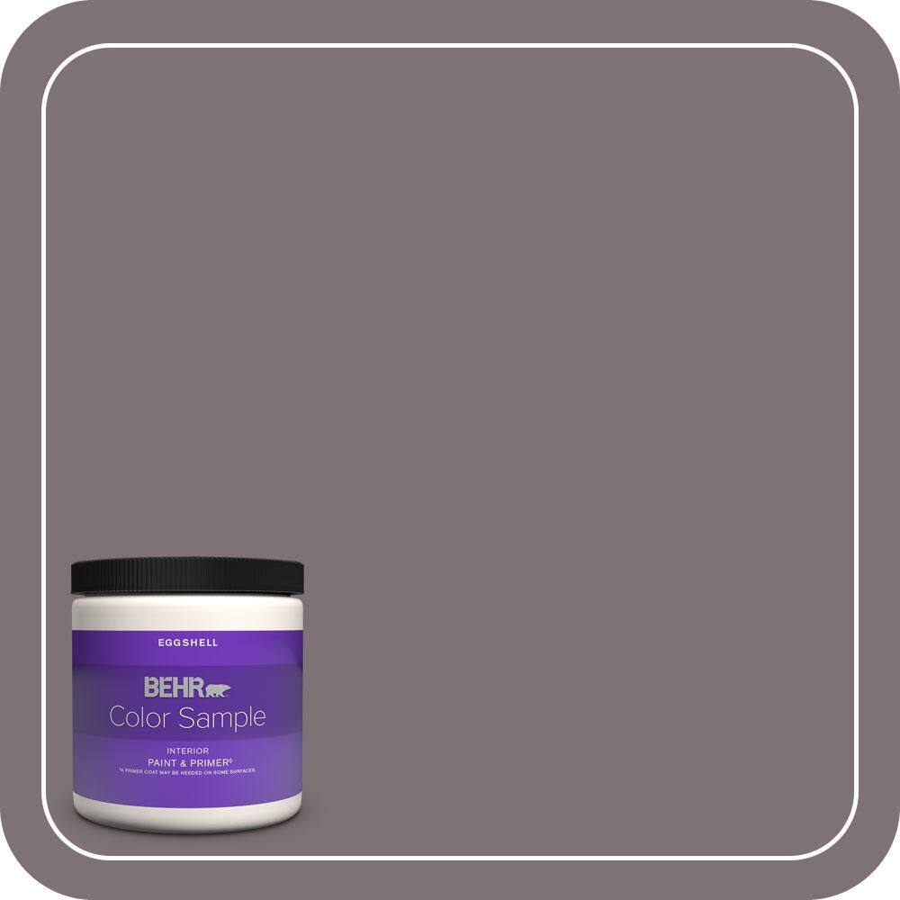 8 oz. #BNC-30 Enigmatic Eggshell Enamel Interior Paint & Primer Color Sample price history on PriceWatchPro