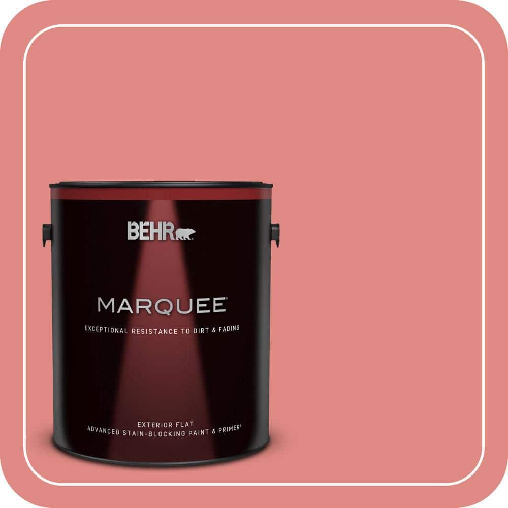 1 gal. Home Decorators Collection #HDC-SP16-12 Begonia Flat Exterior Paint & Primer price history on PriceWatchPro