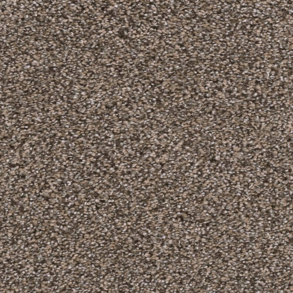 Enchanted Rug Texture Reviews for Home Decorators Collection Delight I - Enchanted - Beige 48 ...
