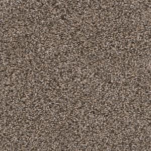 Delight I - Enchanted - Beige 48 oz. SD Polyester Texture Installed Carpet