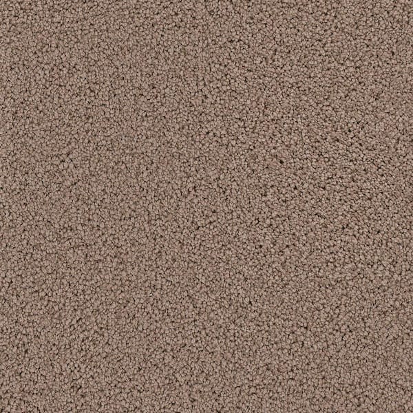 Platinum Plus Carpet Sample - Downshift I - Color Reno Texture 8 in. x 8 in.