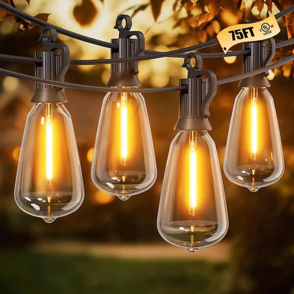 24 Light 75 ft. Black Outdoor Dimmable Hardwired Patio String Light With Edison ST38 LED included
