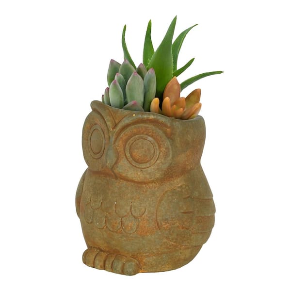 Owl Small Rust Concrete Lightweight Planter with Drainage Hole (4.5 in. L x 4.5 in. W x 4.5 in. H)