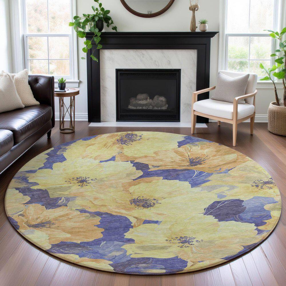 Mayfield Premium Machine Washable Abstract AMF1542 Wheat 8 ft. x 8 ft. Round Rug price history on PriceWatchPro