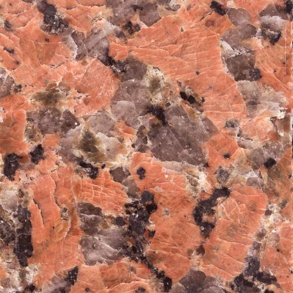 Pegasus 4 in. x 4 in. Terra Cotta Granite Sample