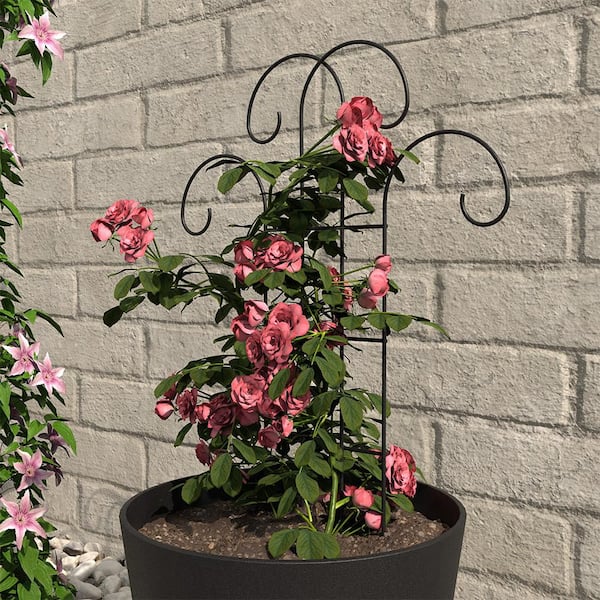 Vigoro 24 in. H Black Flourish Pot Trellis