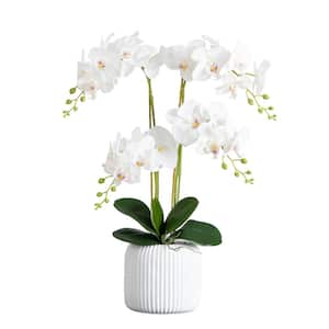 26 in. Artificial Phalaenopsis Orchid Arrangement in Decorative Ceramic Vase (Real Touch)