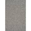 TrafficMaster Caspiana Fiesta Tan 12 ft. Wide x Cut to Length 45 oz. SD Polyester Texture Carpet 52549