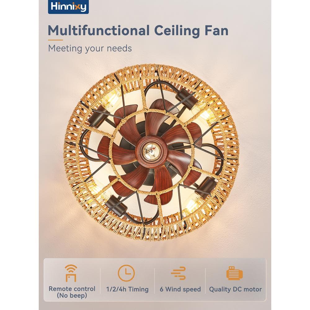 20'' Boho Rattan Caged Ceiling Fan with Remote and Light