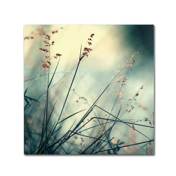 Trademark Fine Art 24 in. x 24 in. "About Hope" by Beata Czyzowska Young Printed Canvas Wall Art