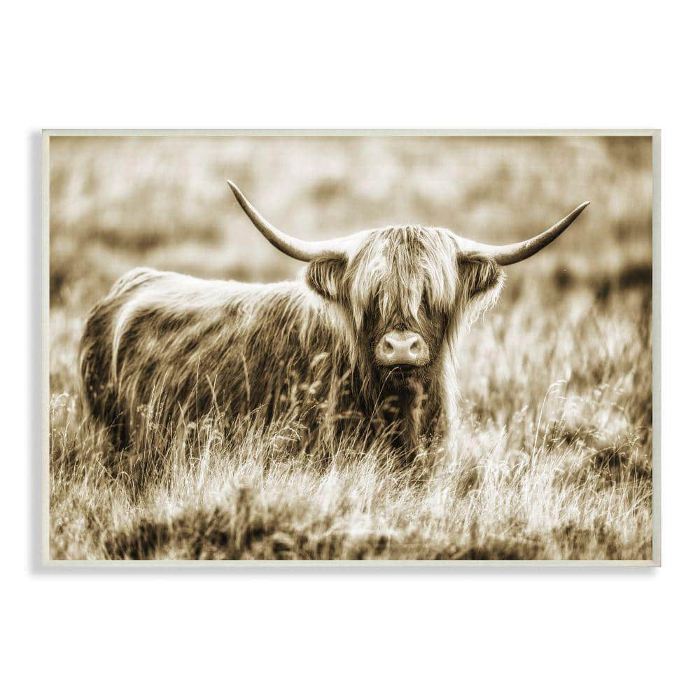 Cow Munching Grass - Wood Framed Art - Multiple Sizes