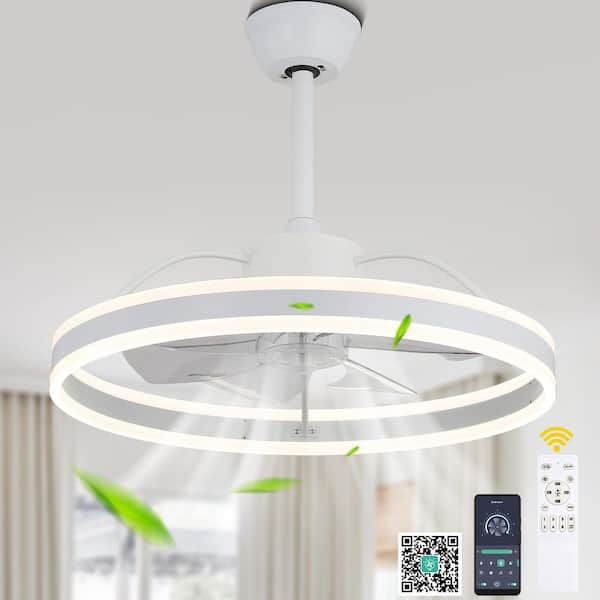 Oaks Aura Idahii 20 in. Black Fandelier Luxury Ceiling Fan with