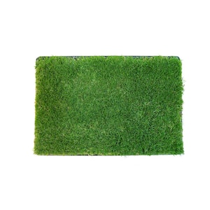 American Best. 39 MOSS MAT