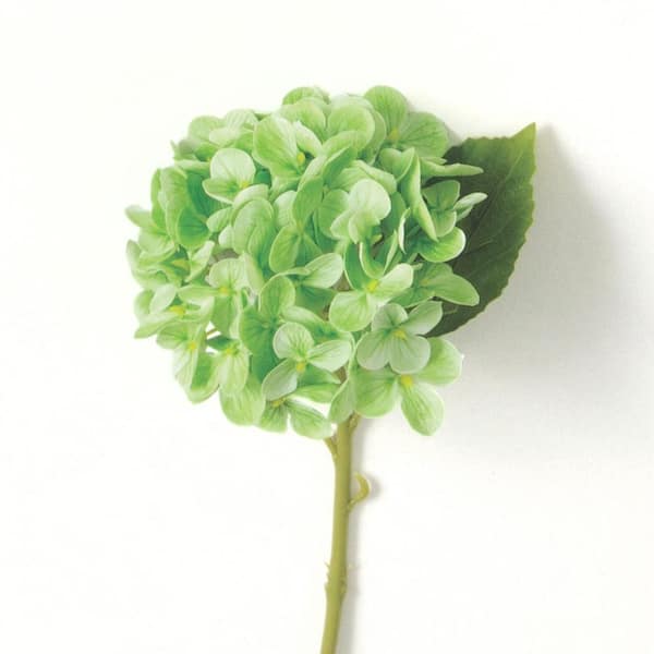 SULLIVANS 14.25 in. Green Indoor Artificial Short Stem Hydrangea Flower