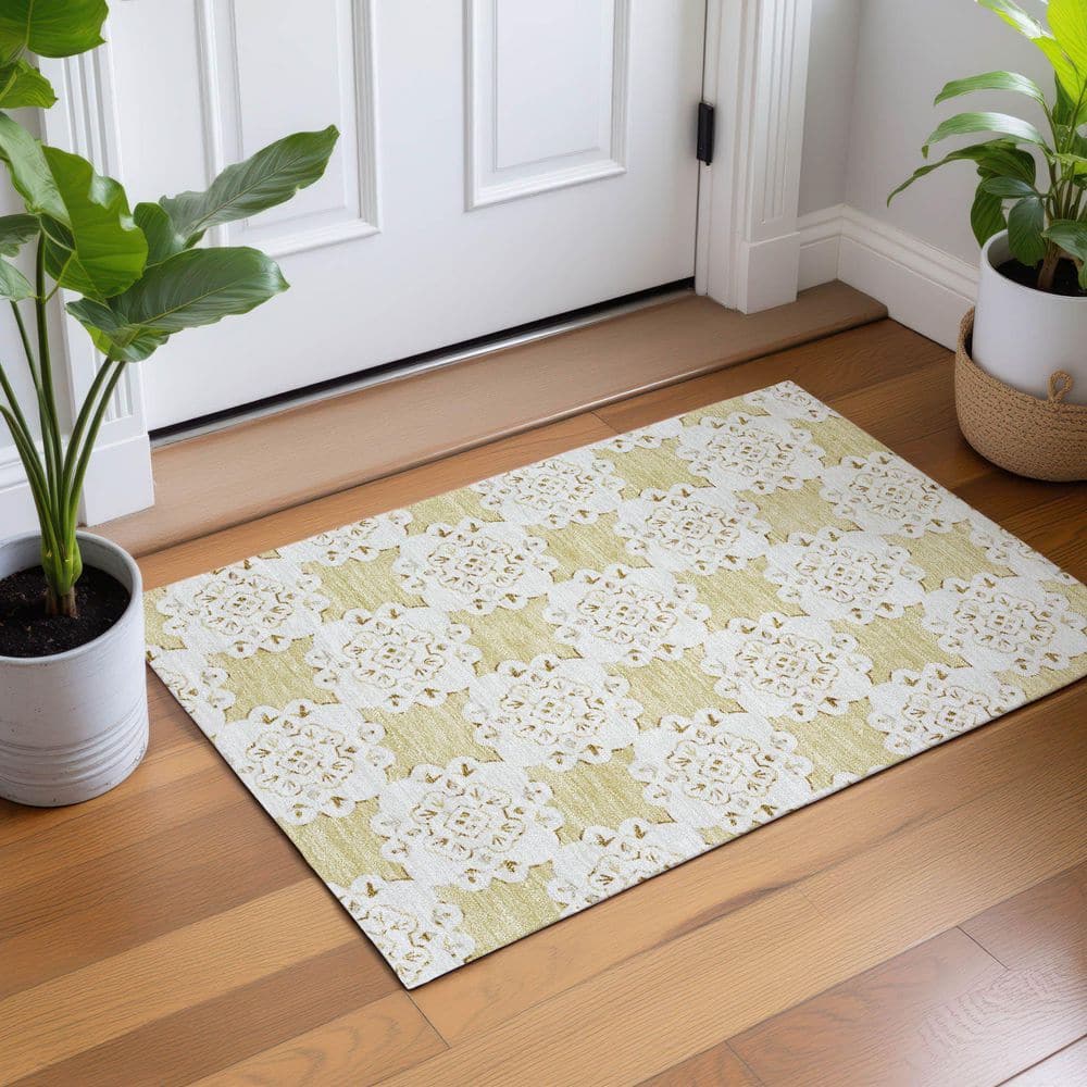 Chantille Machine Washable Indoor/Outdoor Abstract ACN2352 Wheat 2 ft. x 3 ft. Accent Rug price history on PriceWatchPro