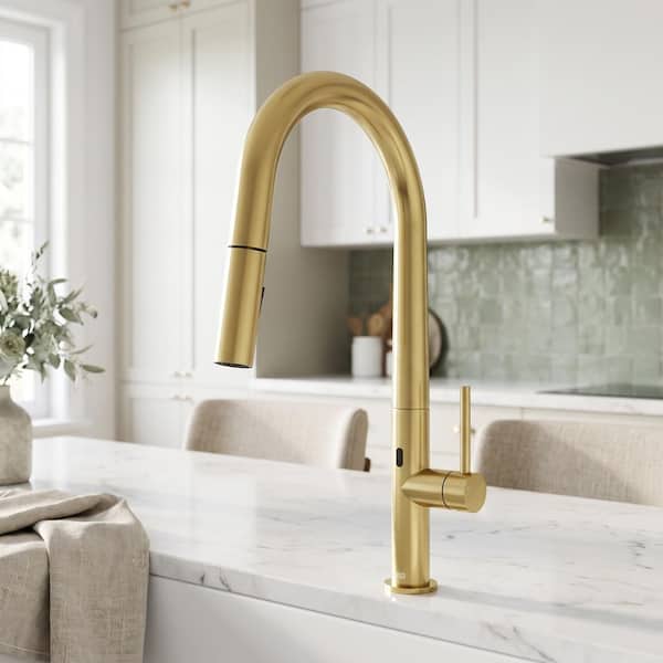 ゴールドウィン GMS3500 VIGO Greenwich Single-Handle Pull-Down Sprayer Kitchen Faucet with