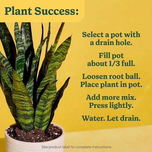 Miracle-Gro Indoor Potting Mix for All Plants 16 qt. Soil For Indoor  Container Plants, Use with Houseplants and More 72786890 - The Home Depot