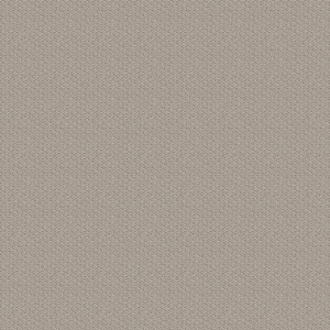Hickory Lane - Grecian - Beige 32.7 oz. SD Polyester Loop Installed Carpet