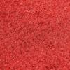 FANMATS Cleveland Guardians Red 2.5 ft. x 2.5 ft. Mascot Area Rug 30722 -  The Home Depot