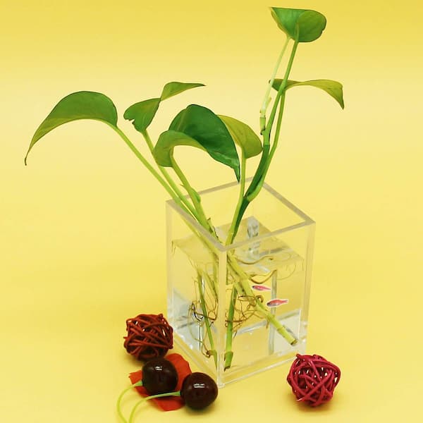 2.6 x 2.6 x 4 in. Clear Acrylic Desktop Organizer, Multipurpose Holder  Stationery, Makeup Brushes Office  Home Supplies